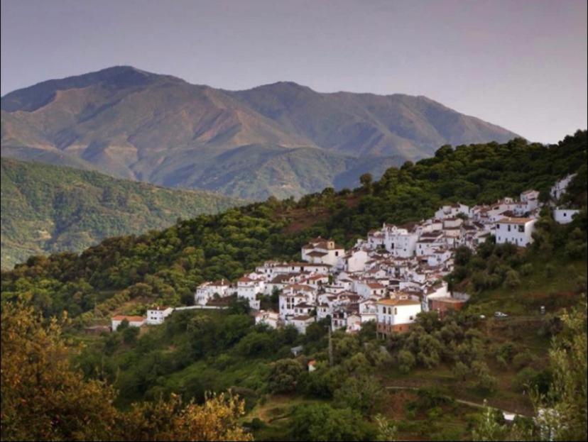 Benalauría Casa Moraleda 게스트하우스 외부 사진